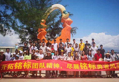 團隊活動